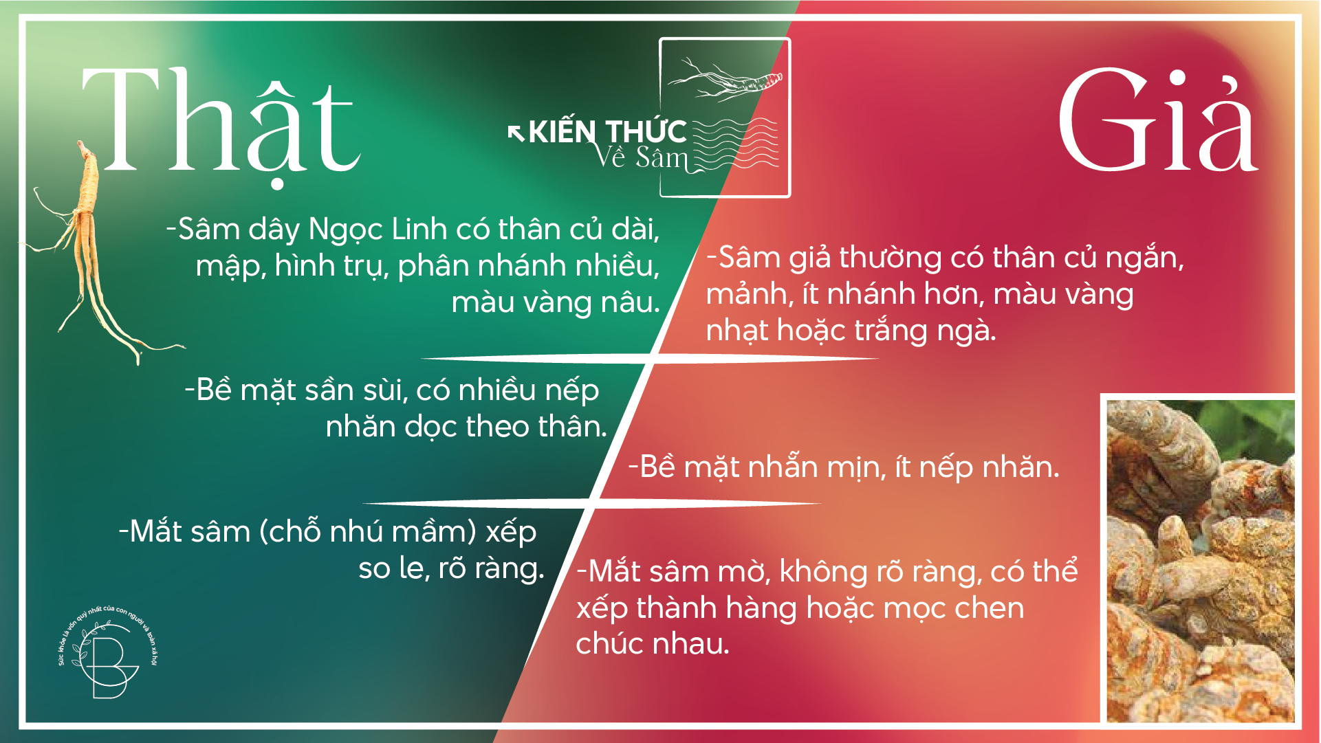Kích thuóc thật và giả
